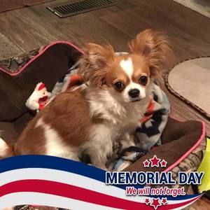 Meet your Posher, Shirley